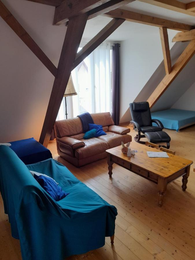 Apigite68, Proche Route Des Vins, Vosges, Colmar Et Non Loin D'Europa-Park! 오스트하임 외부 사진